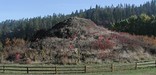 Heart of the Monster is a site that marks where the Nez Perce were created. One of thirty-eight sites of Nez Perce NHP
